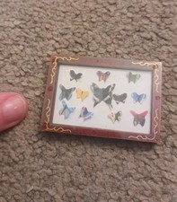 Dolls House Miniature Butterfly Display Case 1:12 Scale Handmade
