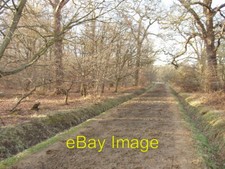 Photo 6x4 Horse ride Windsor