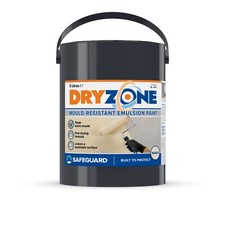 Dryzone Anti Mould Paint -