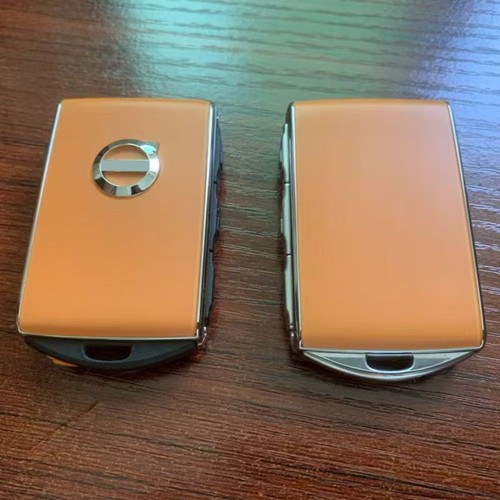 Orange key remote control case - remote,