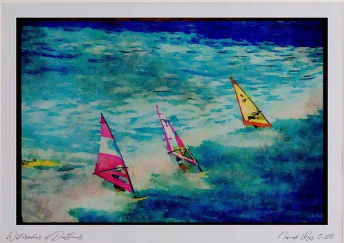 Sailing 339069 neill cup - 339069, o'neill