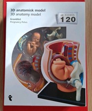 120. Excellent 3D Anatomy