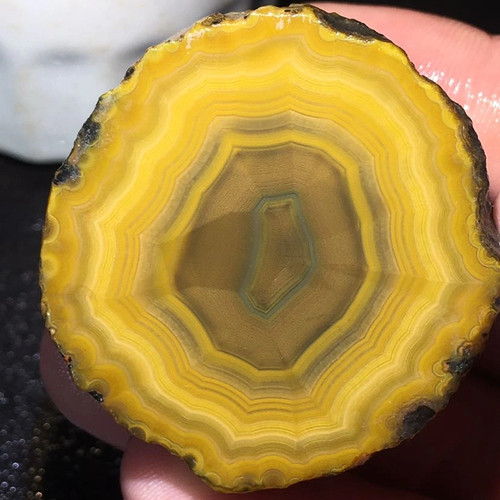 Rare natural warring - rare,