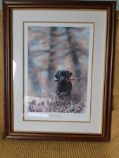 Black Labrador Limited Edition Framed Print 16 x 20 ins by Paul Doyle