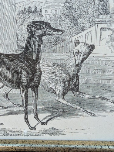 Antique engraving c1879 - antique,