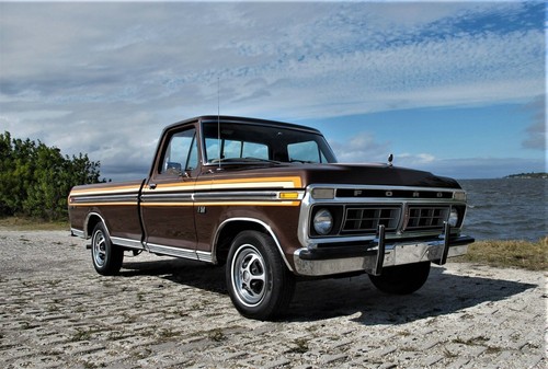 1976 ford f150 brown 24x36 - |,