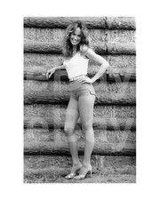 The Dukes of Hazzard (TV)