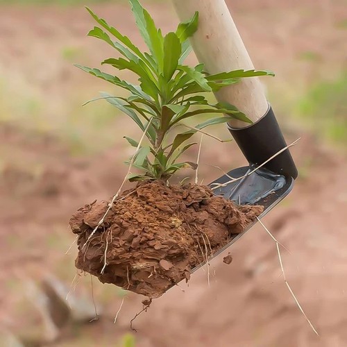 Garden hand hoe - garden,