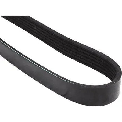 Multi ribbed belt 4818100100 - v-belt,