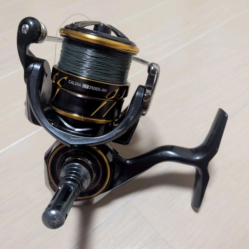 Daiwa caldia spinning - daiwa, 21