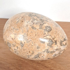 Fossil Stone Egg #1, Approximately 7cm Long, Lovely Condition