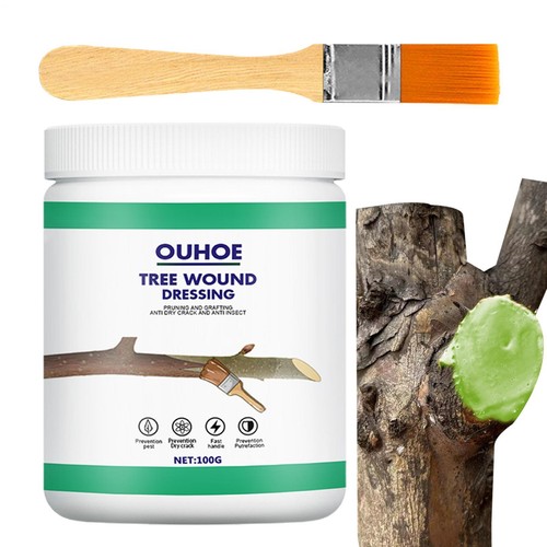 Tanglefoot tree wound pruning - tree,
