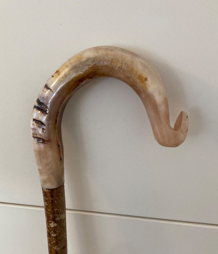 Tall herdwick rams horn crook - tall,