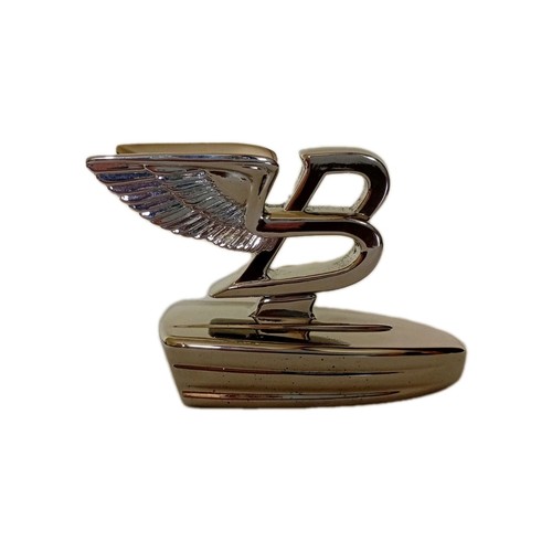 Bentley flying wing mascot - wing,