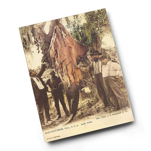 Print vintage florida - a6,