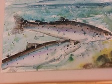 Original wildlife watercolour