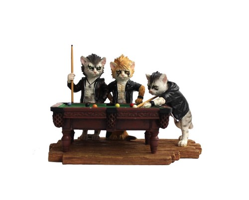 Hand painted biker cat pool - biker,