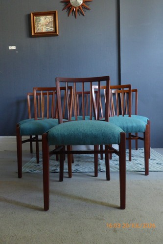 Mid century dining chairs - dining,