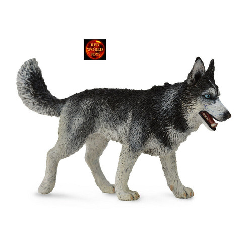 Siberian husky dog - dog, toy