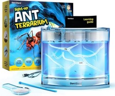 Dan&Darci Light-Up LED Ant