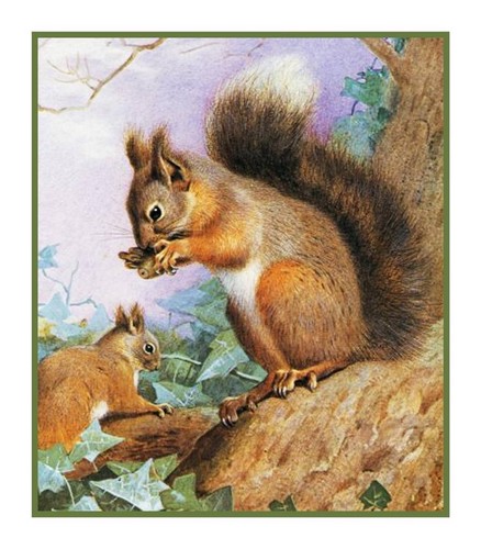 Naturalist thorburn animals - naturalist,