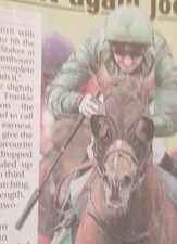 Horse racing systems