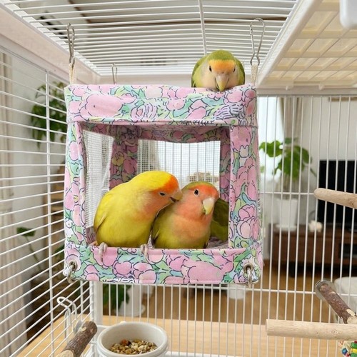 Parrot budgie parakeet mesh - parrot,