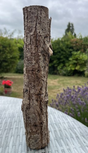 28cm driftwood log branch with - log,