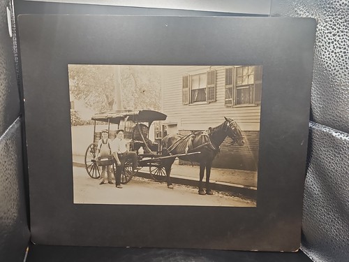 Horse drawn laundry wagon - laundry,
