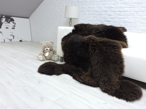 Bear skin rug giant - giant, real