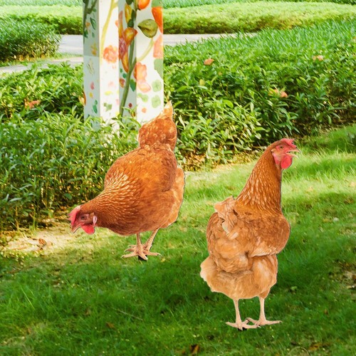 Acrylic chicken statue - 2x,