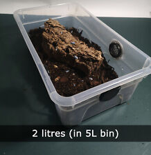 Organic Isopod Magic Mix