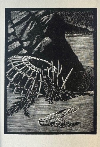 Vintage wood engraving print - ,