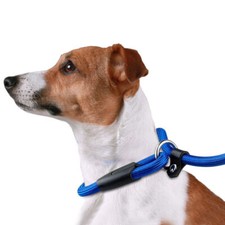 Dog Slip Lead Leash Heavy Duty