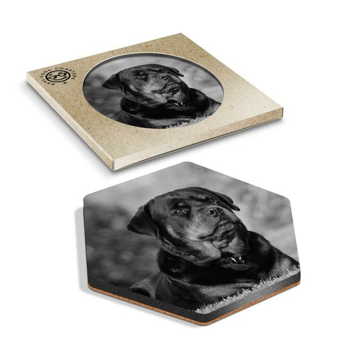 Hexagon coaster bw - bw,