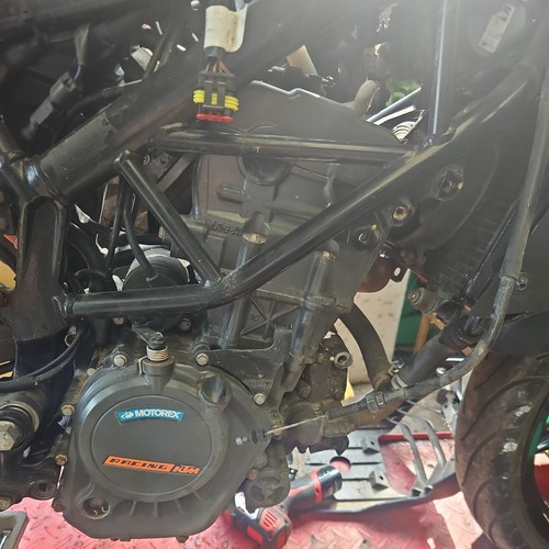 Ktm duke 2019 125cc engine - 2019,