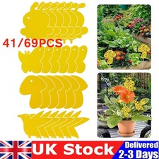 Flying Flie Traps Bug Sticky