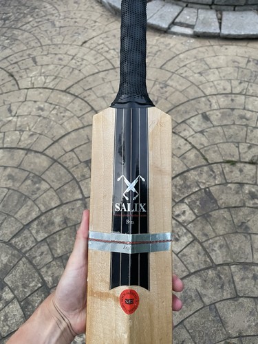 Salix fera grade one english - fera,