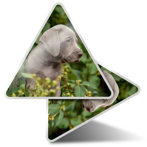 Triangle stickers cm - triangle,