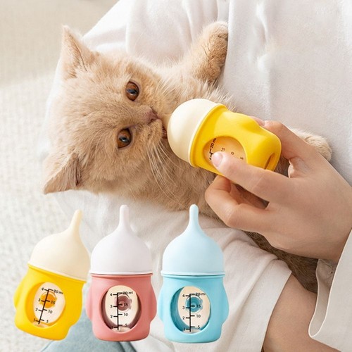 Pet feeding bottle - feeding, puppy