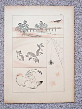 Fragments from an Album of