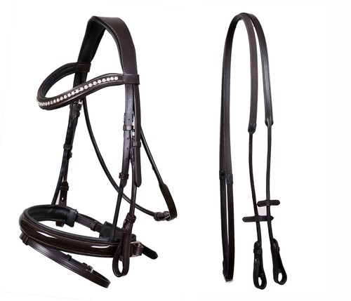 Horse english all purpose - english, all-purpose