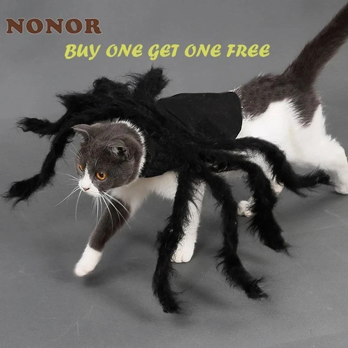 Halloween pet black spider - pet,