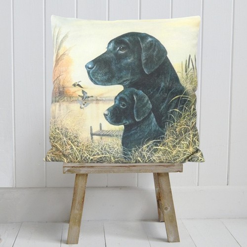 Black labrador puppy - &,