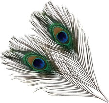 WedDecor Small Real Peacock