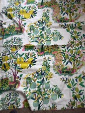 Schumacher "Citrus Garden"