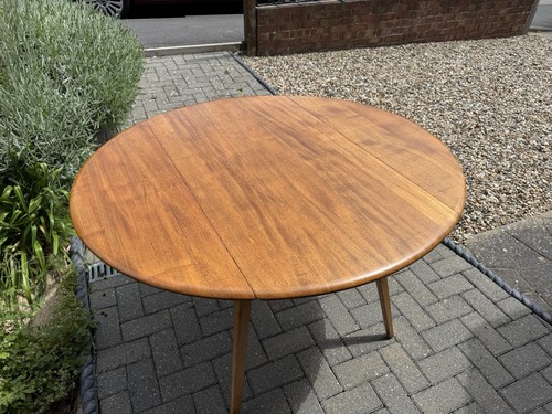 Ercol 1950s elm drop - elm,