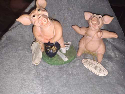 The leonardo collection - collection, pigs