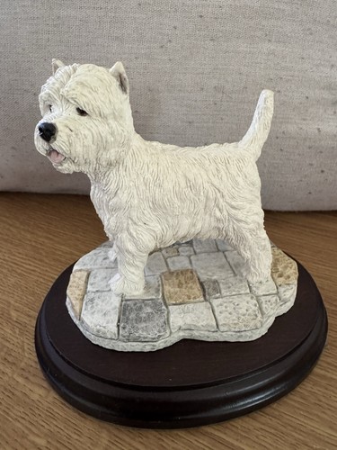 Westie dog west highland - westie,