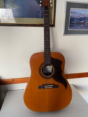 Vintage 1960 eko ranger - 1960's, 6